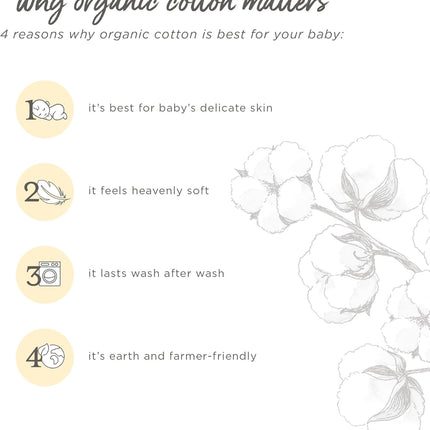 Unisex Short Sleeve Organic Cotton Bodysuits, 3-Pack