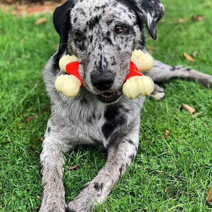 Double Bone Power Chew Toy for Dogs, Dog Toys for Aggressive Chewers, Bacon Flavor, X-Large - 50+ Lbs, 1 Count