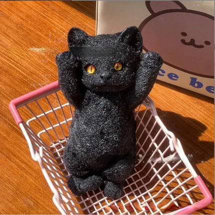 S6556831a1d4b4348a1fed4feb342bf88a