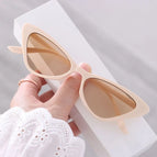 Sunglasses / Beige-Tea