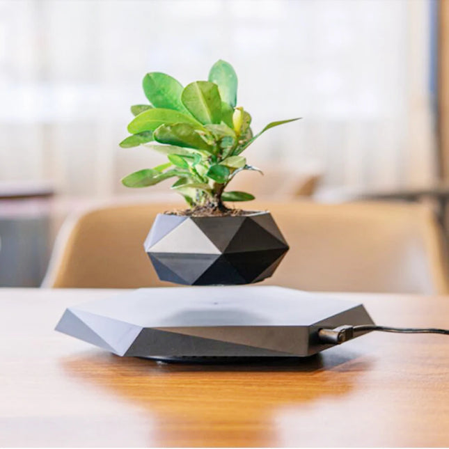 Hot Sale Levitating Air Bonsai Pot Rotation Planters Magnetic Levitation Suspension Flower Floating Pot Potted Plant Desk Decor - STYIEN
