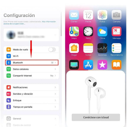 Sdfd84c5f13d74d58b5b1ec37eac1e8f9B